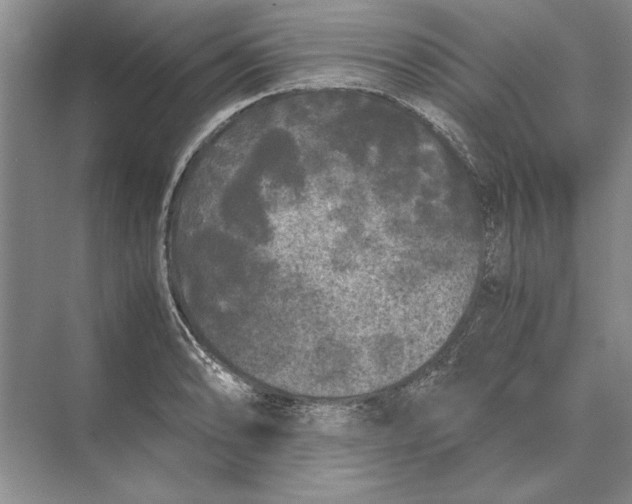 X0000072531086200608111740