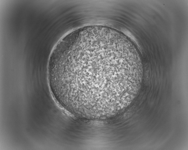 X0000072531088200608111740