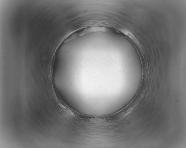 X0000072531089200608111740