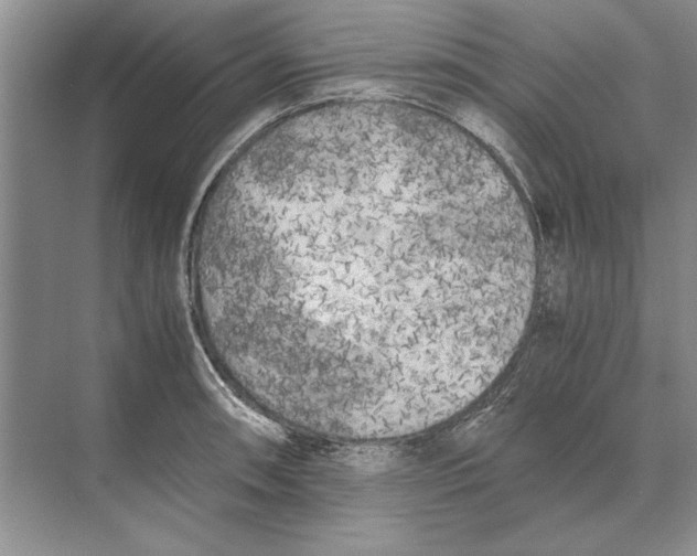 X0000072531090200608111740