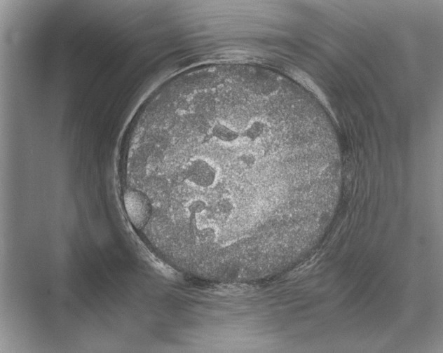 X0000072531091200608111740