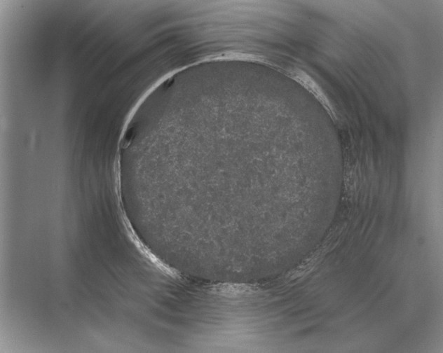 X0000072531092200608111740