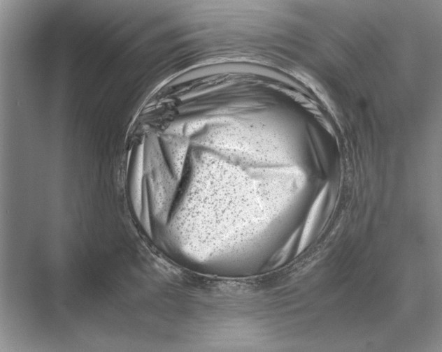 X0000072531097200608111740