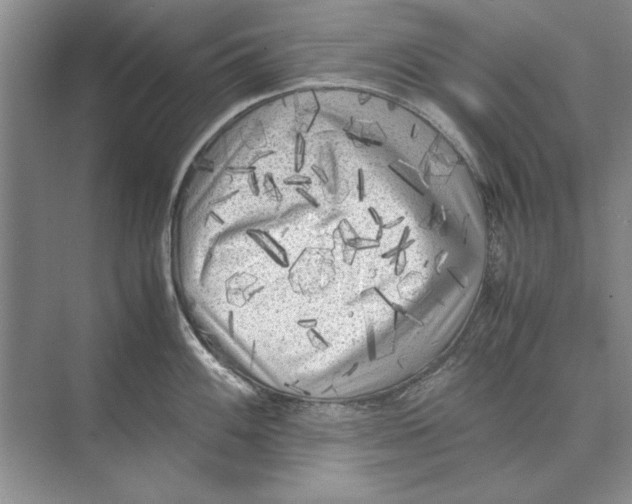 X0000072531100200608111740