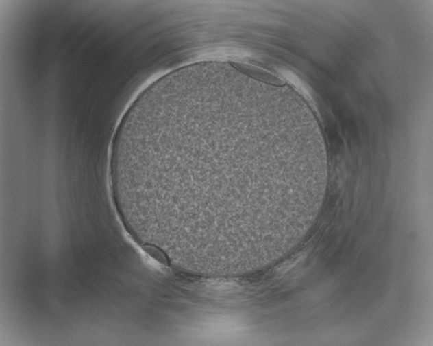 X0000072531103200608111740