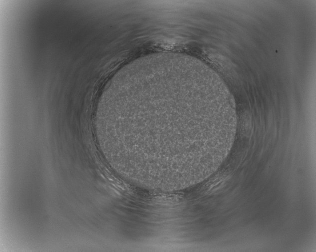 X0000072531105200608111739