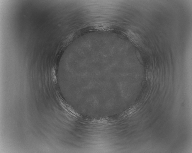 X0000072531106200608111739