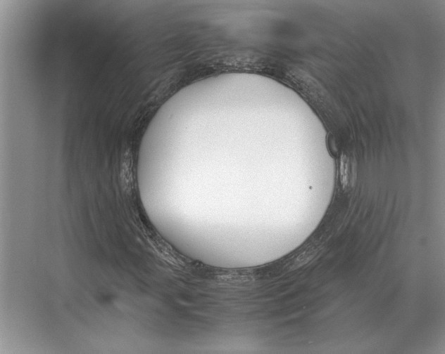 X0000072531107200608111739