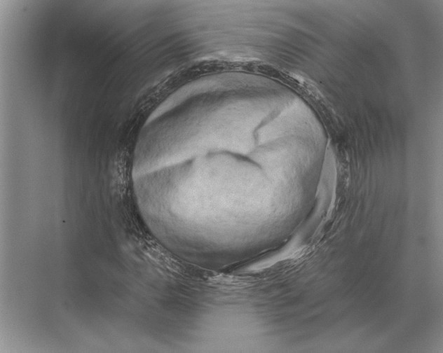 X0000072531110200608111739