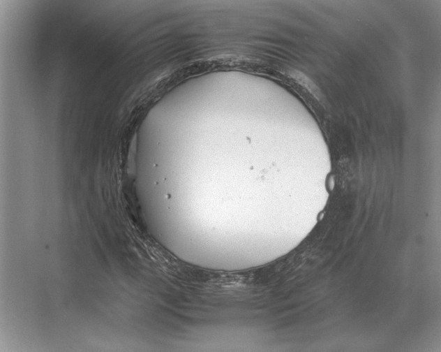 X0000072531111200608111739