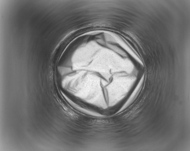 X0000072531115200608111739