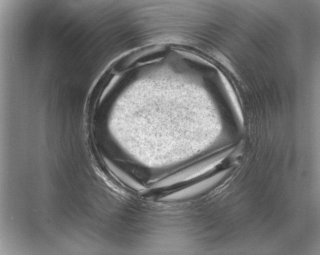 X0000072531116200608111739