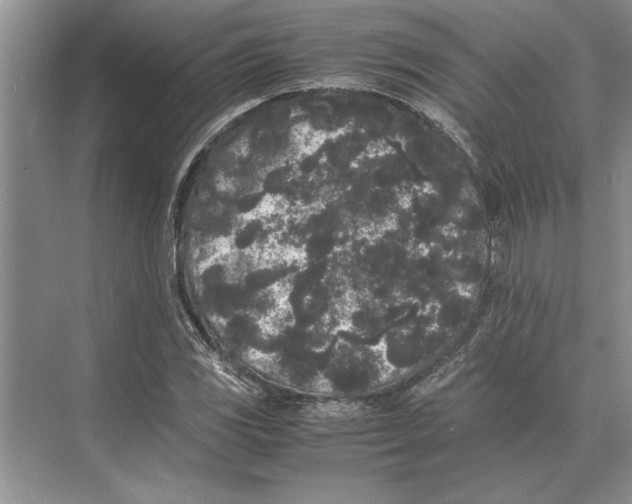 X0000072531117200608111739