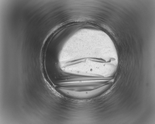 X0000072531122200608111739