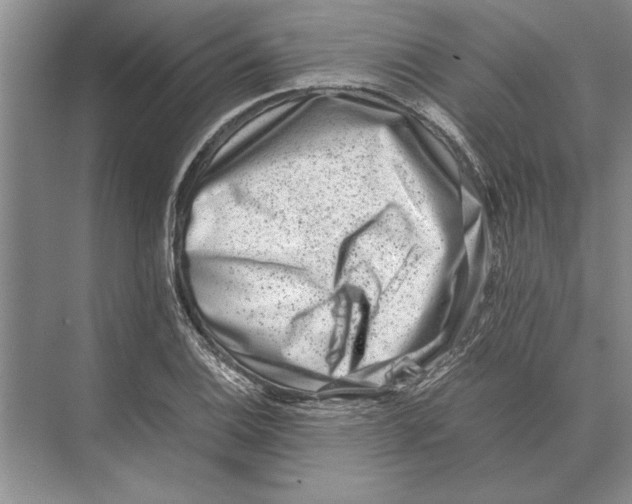 X0000072531124200608111739