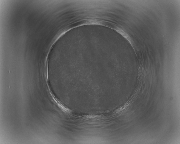 X0000072531127200608111739