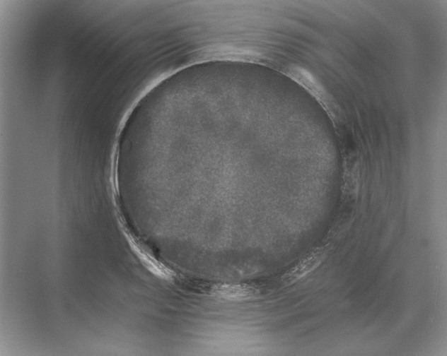 X0000072531128200608111739