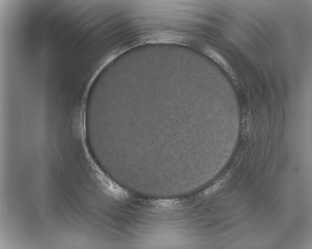 X0000072531130200608111739