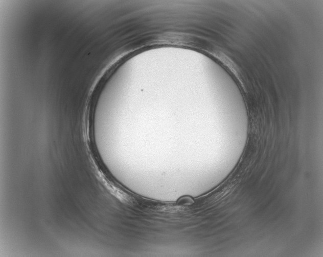 X0000072531131200608111739