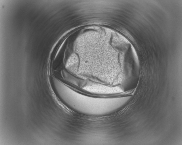 X0000072531132200608111739