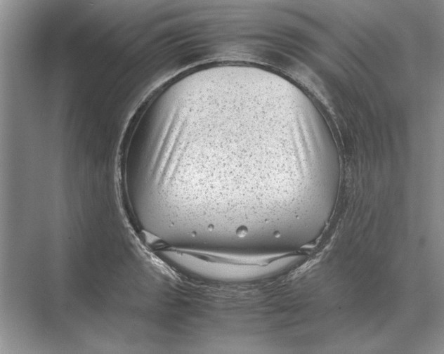 X0000072531133200608111739