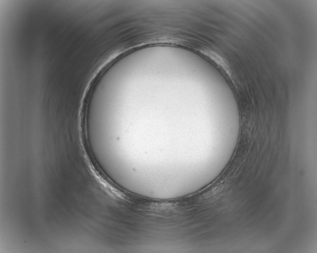 X0000072531135200608111739