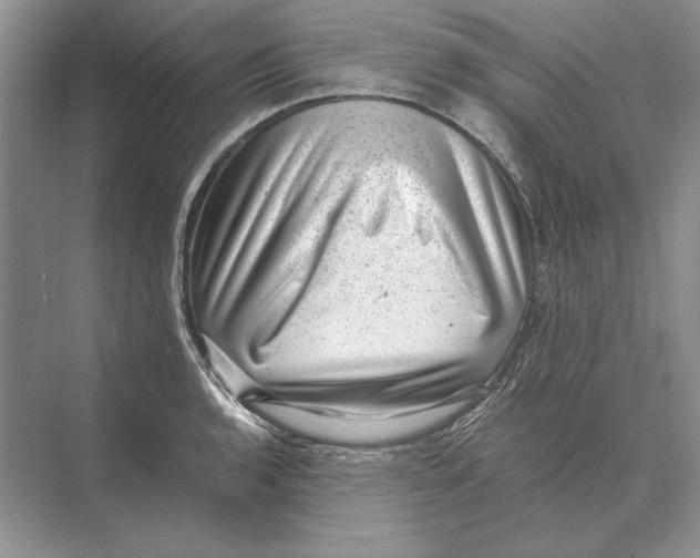 X0000072531136200608111739