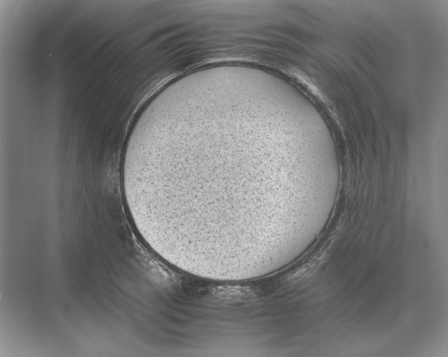 X0000072531137200608111739