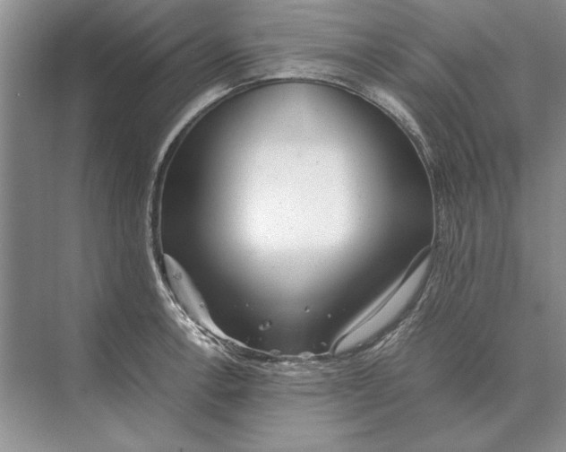 X0000072531138200608111739