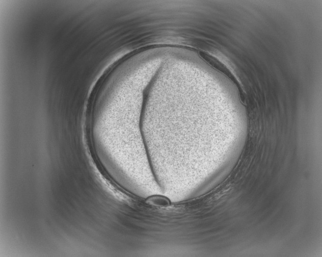 X0000072531139200608111739