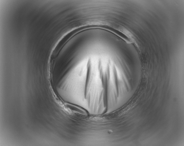 X0000072531140200608111739