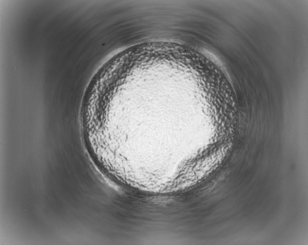 X0000072531141200608111739