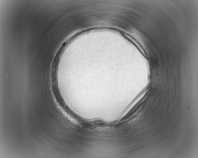 X0000072531142200608111739