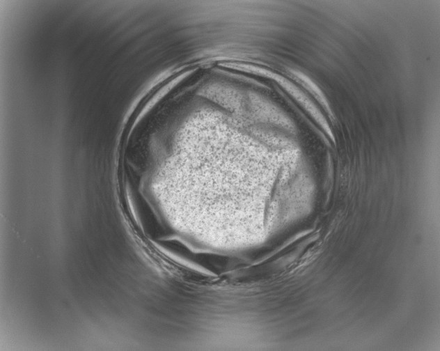 X0000072531146200608111739