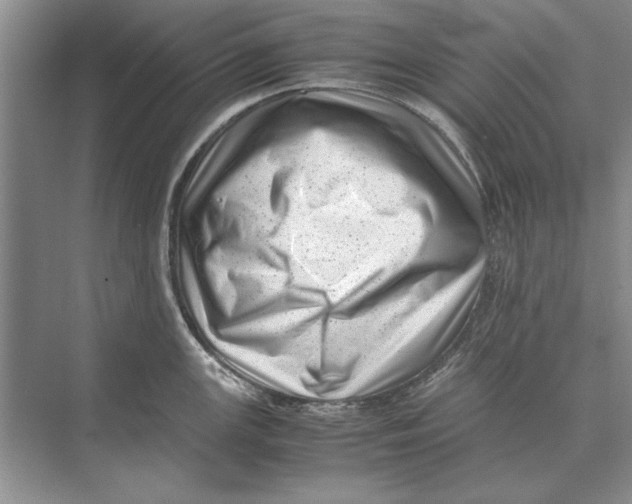 X0000072531147200608111739