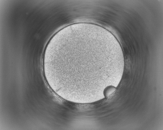 X0000072531150200608111739