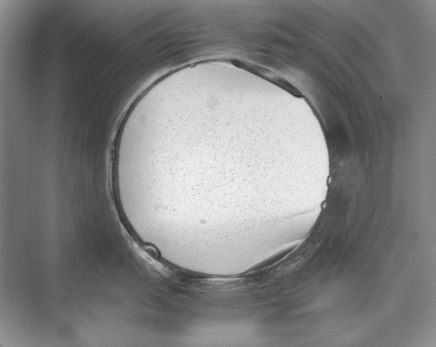 X0000072531151200608111740