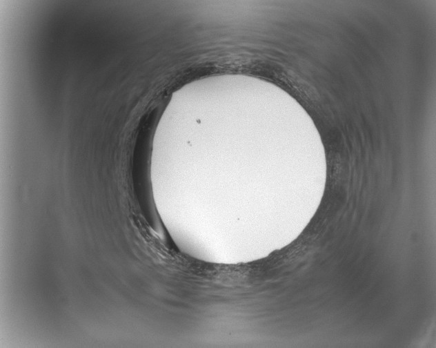 X0000072531153200608111739