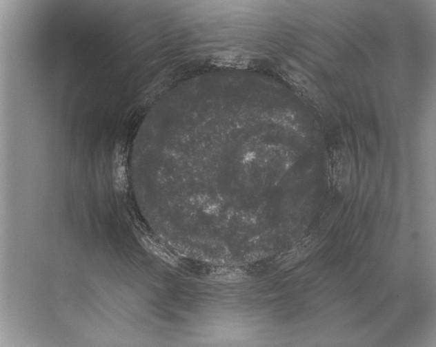 X0000072531154200608111739