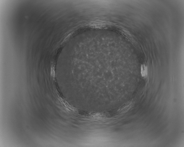 X0000072531155200608111739