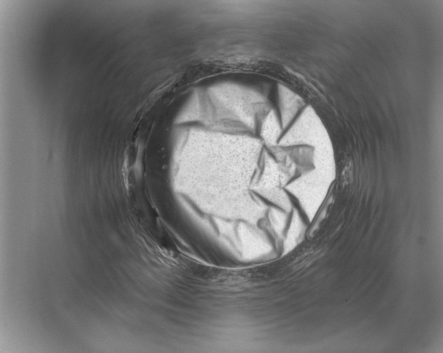 X0000072531156200608111739