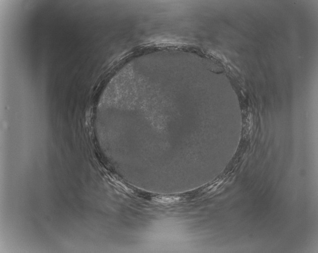 X0000072531157200608111739