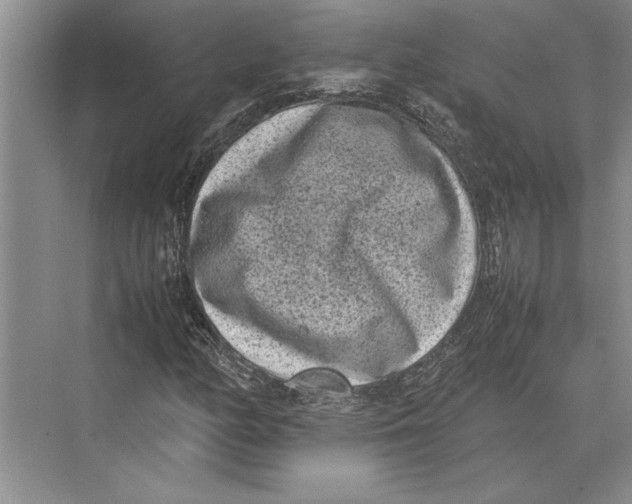 X0000072531158200608111739