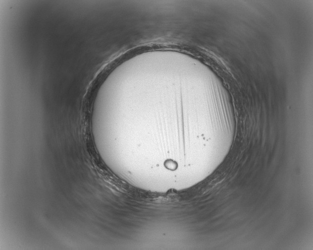 X0000072531160200608111739