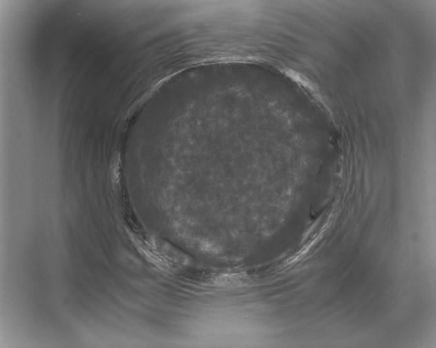 X0000072531161200608111739