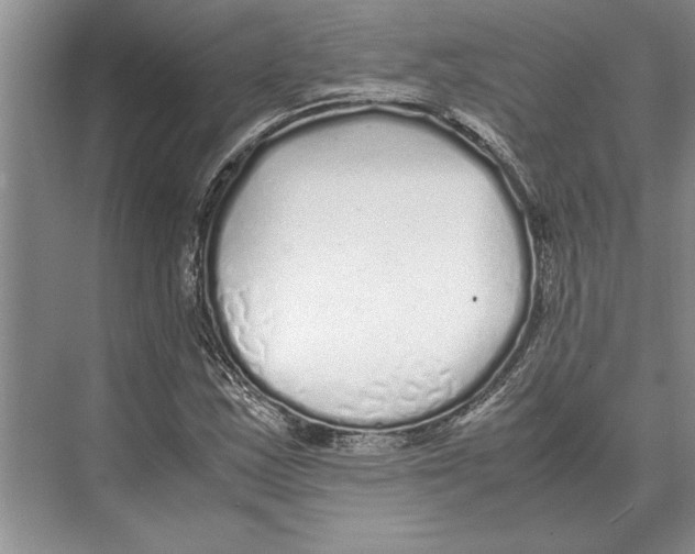 X0000072531163200608111739