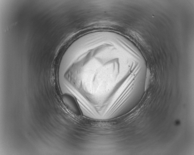 X0000072531164200608111739