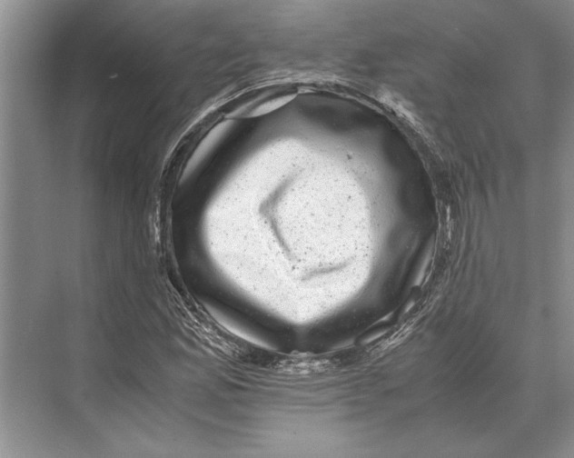 X0000072531165200608111739