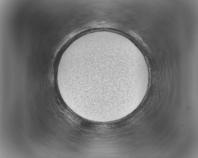 X0000072531167200608111738