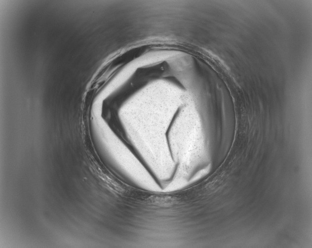 X0000072531168200608111738